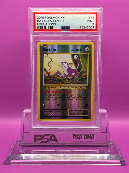 Rattata Reverse (66/108) [XY: Evolutions] PSA 9